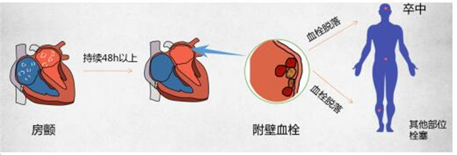 QQ截圖20190605083750.jpg