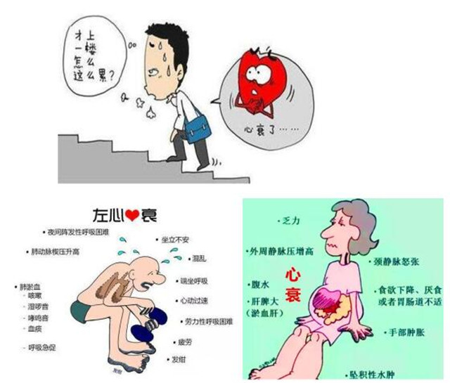 QQ截圖20190605083805.jpg