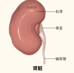 屏幕截圖 2025-03-17 082950.png