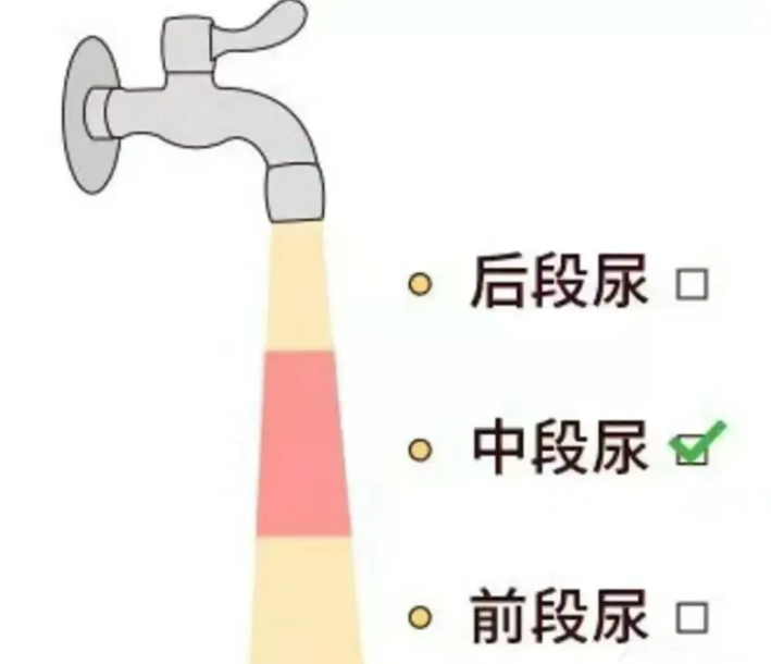 屏幕截圖 2025-03-21 151519.png