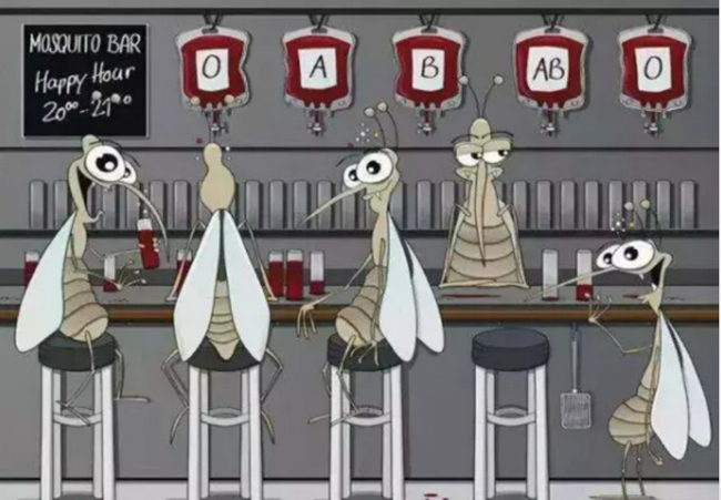 6.png