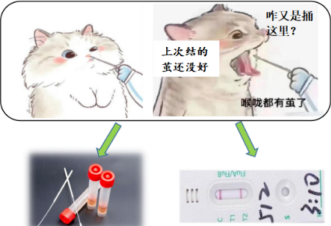 屏幕截圖 2025-04-07 111711.png